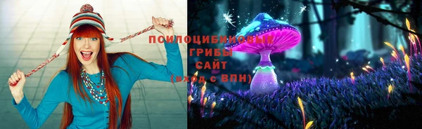 PSILOCYBIN Липки