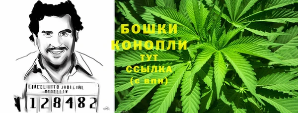PSILOCYBIN Липки