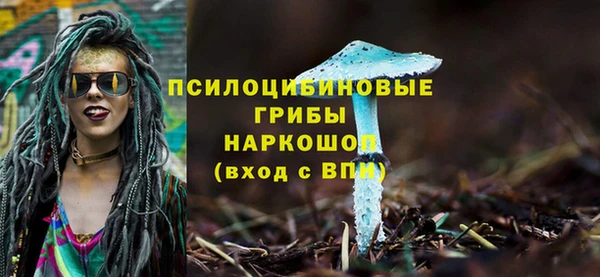 PSILOCYBIN Липки