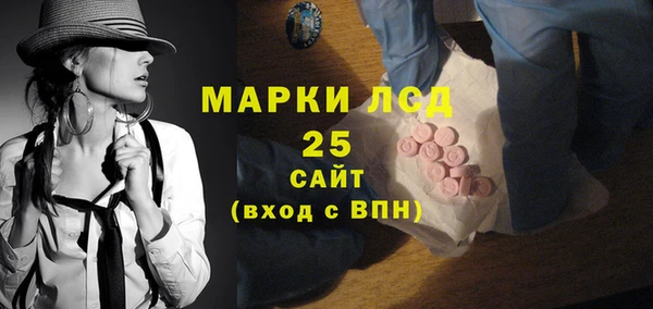 PSILOCYBIN Липки