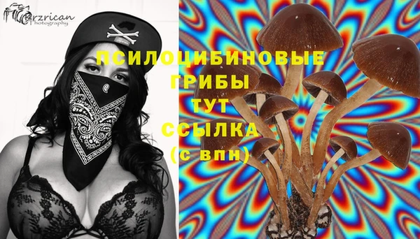 дживик Пересвет