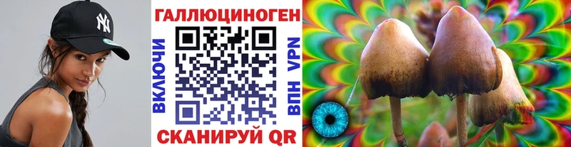 Псилоцибиновые грибы Psilocybine cubensis наркошоп Кочубеевское